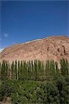 Weintraube Felder durch die von Bäzäklik Höhlen, Turfan, Xinjiang Uyghur Autonomie District, China