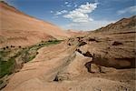 Small oasis at Flaming Mountain,Turpan,Xinjiang Uyghur Autonomy district,China