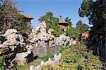 Imperial garden in Forbidden City,Beijing,China