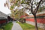 Imperial garden,Imperial palace (Mukden palace),Shenyang,Liaoning Province,China