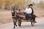 Uyghur family on donkey cart in the countryside of Kuche (Kuqa),Xinjiang,China