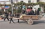 Donkey cart running in Bazaar of Kuche (Kuqa),Xinjiang,China