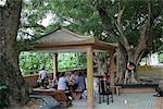 Villagers at leisure,Sheung Woo Hang village,New Territories,Hong Kong