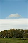 Blauer Himmel über ländliche Weide