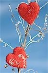 Heart shaped ornaments on dried plant stalk