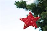Ornement de Noël étoile suspendue à une branche couverte de neige