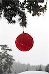 Red Christmas ornament hanging from evergreen branch