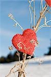 Heart shaped ornament on dried plant stalk