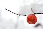 Christmas ornament hanging from snow-covered branch