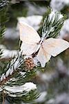 Golden decorative butterfly on snow dusted evergreen branch