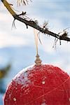 Red Christmas ornament hanging from branch, cropped