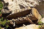 Wall tombs near Rantepao, Toraja area, Sulawesi, Indonesia, Southeast Asia, Asia