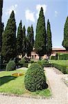 The gardens of the Villa Vignamaggio, a wine producer whose wines were the first to be called Chianti, near Greve, Chianti, Tuscany, Italy, Europe