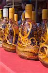 Schlangen in Flaschen Spirituosen vermutlich haben Heilkräfte, Indochina, Laos, Südostasien, Asien