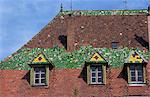 Lucarnes et tuiles décoratives sur un toit typique dans la vieille ville de Ribeauville, Alsace, France, Europe