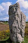 Lagatjar Alignment, near Crozon, Crozon Peninsula, Finistere, Brittany, France, Europe