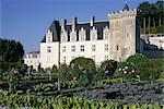 Chateau and gardens including vegetables in potager, Chateau de Villandry, UNESCO World Heritage Site, Loire Valley, Centre, France, Europe