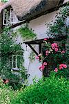 Cottage et fleurs, Wherwell, Hampshire, Angleterre, Royaume-Uni, Europe