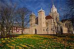 Crocuses outside the Cathedral, Portsmouth, Hampshire, England, United Kingdom, Europe