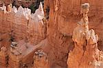 L'Amérique du Nord de Thor marteau, Parc National de Bryce Canyon, Utah, États-Unis d'Amérique,