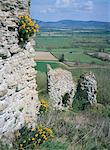 View from the keep, with wallflowers, Wigmore Castle, managed by English Heritage, Herefordshire, England, United Kingdom, Europe