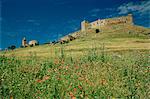 View of castle, Medallin, Extremadura, Spain, Europe