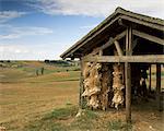 Knoblauch trocknen, in der Nähe von Kondom, Gascogne, Midi-Pyrenees, Frankreich, Europa