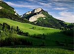 Landschaft in der Nähe von Villard de Lans, Parc Naturel Regional du Vercors, Drome, Rhone-Alpes, Frankreich, Europa