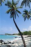 Kona State Beach, Insel von Hawaii (große Insel), Hawaii, Vereinigte Staaten von Amerika, Pazifik, Nordamerika