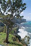 The Mediterranean seaside town of Seiano, near Naples, Campania, Italy, Mediterranean, Europe