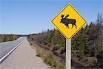 Moose sign, Cape Breton Highlands National Park, Cape Breton, Nova Scotia, Canada, North America