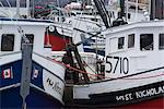Part of the scallop fishing fleet, Digby, Nova Scotia, Canada, North America