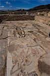 House of the New Hunt, Roman ruins of Bulla Regia, Tunisia, North Africa, Africa