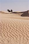 The beginning of the Sahara Desert, Douz, Tunisia, North Africa, Africa