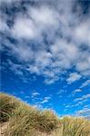 Dunes and grasses, Mellon Udrigle, Wester Ross, Highland region, Scotland, United Kingdom, Europe