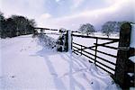 Neige sur mon sentier, Hartington, Derbyshire, Angleterre, Royaume-Uni, Europe