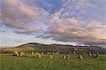 Castlerigg Stone Circle in der Nähe von Keswick, Seenplatte, Cumbria, England, Vereinigtes Königreich, Europa