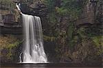 Force de Thornton, cascades Ingleton marcher, Yorkshire Dales National Park, North Yorkshire, Yorkshire, Angleterre, Royaume-Uni, Europe