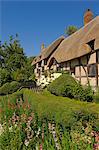 Cottage garden at Anne Hathaway's thatched cottage, Shottery, near Stratford-upon-Avon, Warwickshire, England, United Kingdom, Europe