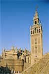 Giralda Turm und Kathedrale von Sevilla, Andalusien (Andalusien), Spanien, Europa