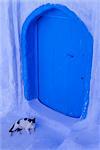 Blue door and cat, Chefchaouen (Chaouen) (Chechaouen), Rif Region, Morocco, North Africa, Africa