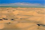 Khongoryn Els Dunes, désert de Gobi, Parc National de Gobi, Omnogov, Mongolie