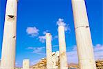 Spalten umgeben von Antike Statuen von Cleopatra und Diocrides, archäologische Stätte von Delos, UNESCO Weltkulturerbe, Kykladen, Griechenland, Mittelmeer, Europa