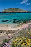 Cala Comta et l'îlot rocheux de Illa d'es Bosc, près de Sant Antoni, Ibiza, îles Baléares, Espagne, Méditerranée, Europe