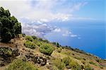 Côte Nord, El Hierro, Iles Canaries, Espagne, Atlantique, Europe