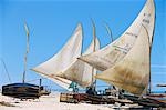 Jangada fishermen's boats on the beach, near Canoa Quedrada, Caera', Brazil, South America