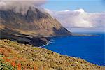 Fleurs et montagnes sur la côte sud, El Hierro, Iles Canaries, Espagne, Atlantique, Europe