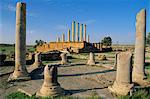 Le site romain de Thuburbo Majus, le Capitole et le Temple de mercure, la Tunisie, l'Afrique du Nord