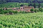 Cotes de Toul vineyards, village of Lucey, Meurthe-et-Moselle, Lorraine, France, Europe