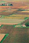 View from the village of Belaye of the vineyards of Cahors, Vallee du Lot (Lot Valley), Midi-Pyrenees, France, Europe